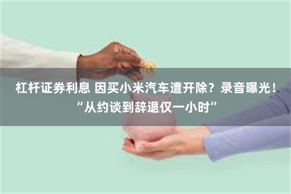 杠杆证券利息 因买小米汽车遭开除？录音曝光！“从约谈到辞退仅一小时”