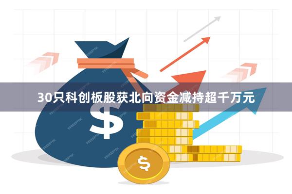 30只科创板股获北向资金减持超千万元