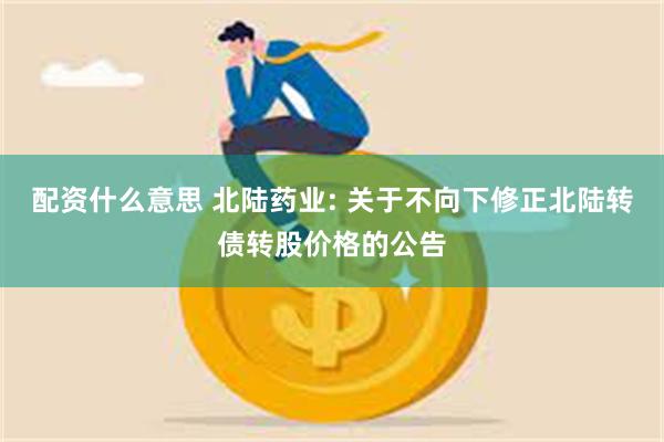 配资什么意思 北陆药业: 关于不向下修正北陆转债转股价格的公告