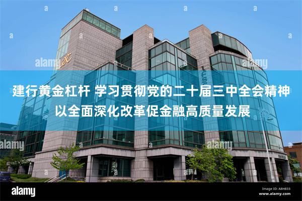 建行黄金杠杆 学习贯彻党的二十届三中全会精神 以全面深化改革促金融高质量发展