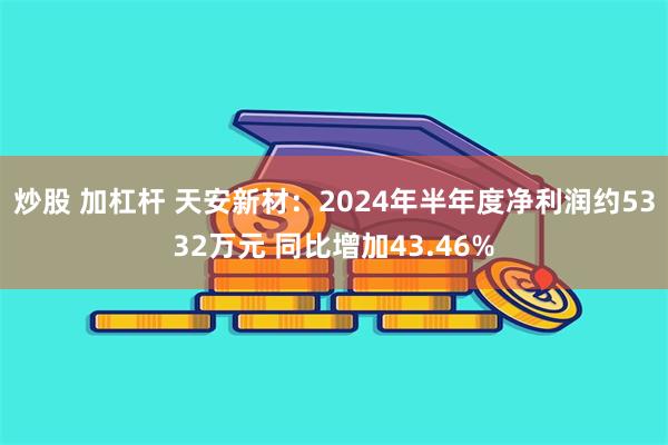 炒股 加杠杆 天安新材：2024年半年度净利润约5332万元 同比增加43.46%