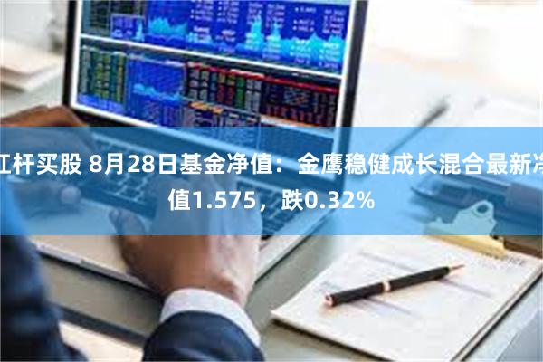 杠杆买股 8月28日基金净值：金鹰稳健成长混合最新净值1.575，跌0.32%