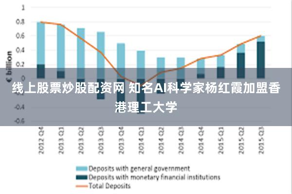 线上股票炒股配资网 知名AI科学家杨红霞加盟香港理工大学