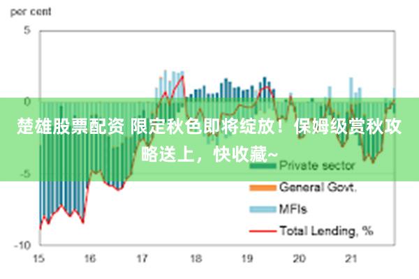 楚雄股票配资 限定秋色即将绽放！保姆级赏秋攻略送上，快收藏~