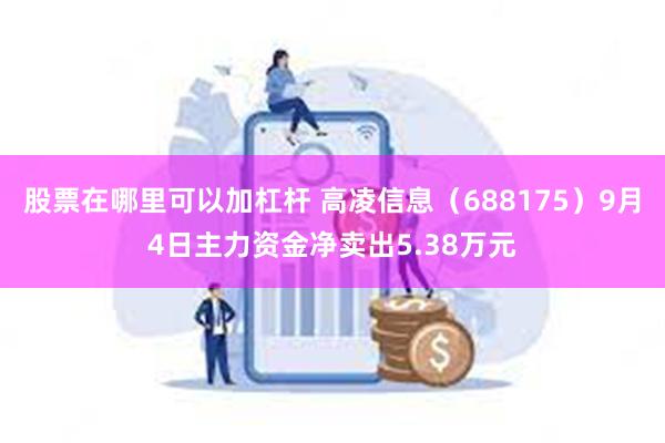 股票在哪里可以加杠杆 高凌信息（688175）9月4日主力资金净卖出5.38万元