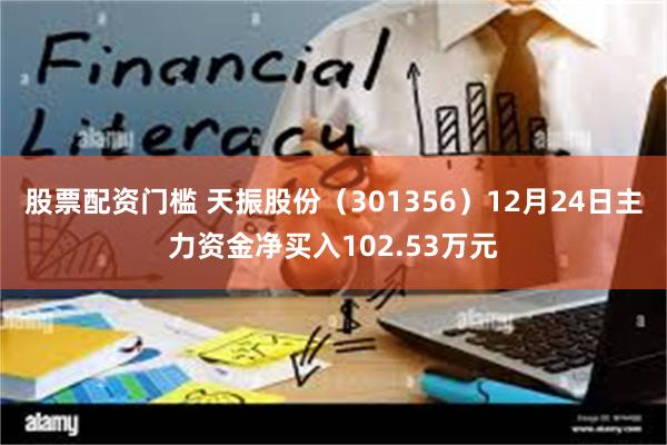 股票配资门槛 天振股份（301356）12月24日主力资金净买入102.53万元