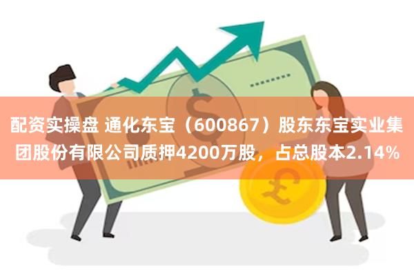 配资实操盘 通化东宝（600867）股东东宝实业集团股份有限公司质押4200万股，占总股本2.14%