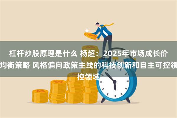 杠杆炒股原理是什么 杨超：2025年市场成长价值均衡策略 风格偏向政策主线的科技创新和自主可控领域