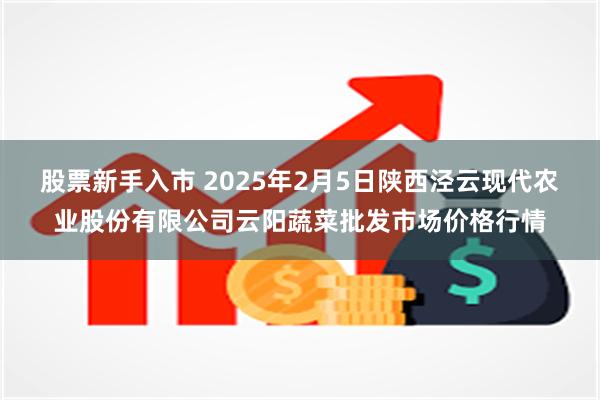 股票新手入市 2025年2月5日陕西泾云现代农业股份有限公司云阳蔬菜批发市场价格行情