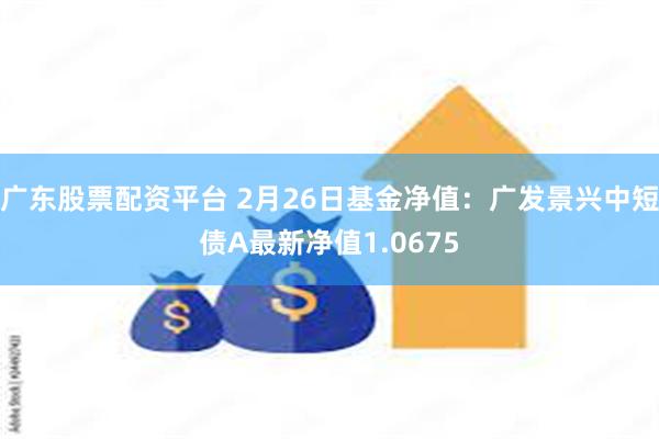 广东股票配资平台 2月26日基金净值：广发景兴中短债A最新净值1.0675